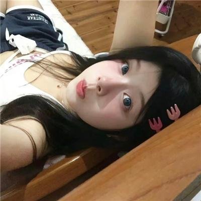 黑眉蚊